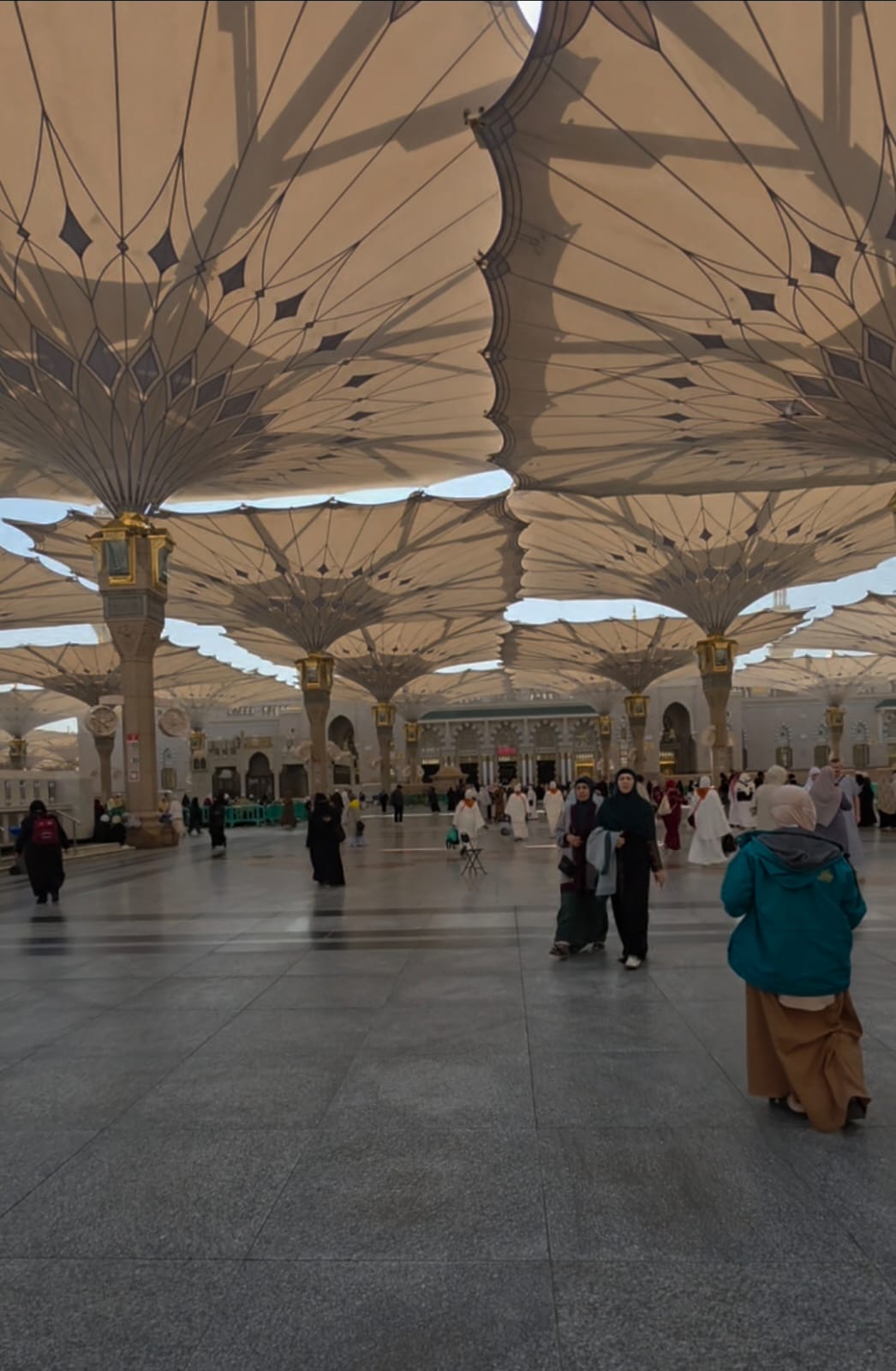 Raudhah: Di Antara Cinta yang Terus Bertumbuh